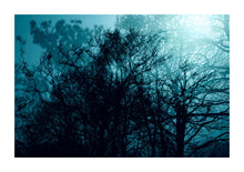 Load image into Gallery viewer, Blue Trees # 02 - Kent

