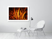 Load image into Gallery viewer, Orange Palms - Ireland
