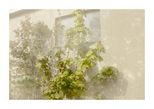Load image into Gallery viewer, Overgrown Wall - Kent
