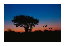 Load image into Gallery viewer, Tree Silhouette - Kent
