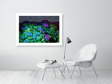 Load image into Gallery viewer, Hydrangeas - Ireland
