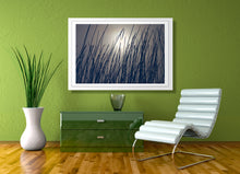 Load image into Gallery viewer, Winter Reeds - Ireland
