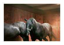 Load image into Gallery viewer, Black Horses - California
