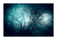 Load image into Gallery viewer, Blue Trees # 03 - Kent
